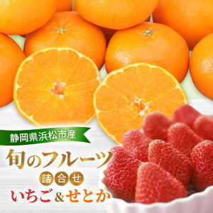 yӂ邳Ɣ[Łzy2026N2z {̃t[cl Ƃ gق؂܂͂э 260g1pbN Ƃ4800g k̍ō  ~J  yzsFz t[cZ