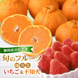 yӂ邳Ɣ[Łzy2026N2z {̃t[cl sm gق؂܂͂ҍ 260g1pbN sm4800g ʂ fR  ~J yzsFz t[cZbg 