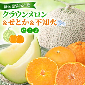 yӂ邳Ɣ[Łzy2026N2zNE&Ƃ&sm΋l NE 1 1.3kg  Ƃ 4 sm 4 ʂ fR  k ~J  É ls @