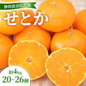 yӂ邳Ɣ[Łzy2026N2ȍ~z Ƃ 4kg 20`26 k̍ō 񂫂 k ݂ ~J  lC É ls@͂F2026N211`310܂