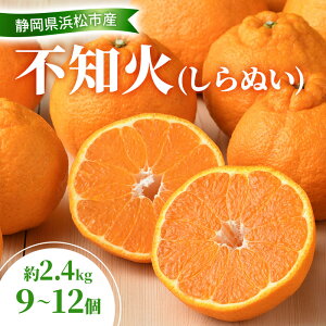 yӂ邳Ɣ[Łzy2026N3ȍ~z sm 2.4kg 9`12 ʂ fR 񂫂 k ݂ ~J  t[c É ls@͂F2026N31`410܂