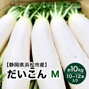 yӂ邳Ɣ[ŁzyÉlsYz卪 MTCY 10kg 10`12{ yzsFz  _CR  É ls@͂F2025N11{`2026N2{܂