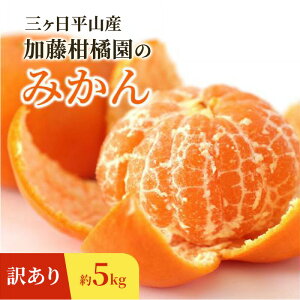 �y�ӂ邳�Ɣ[�Łz�y�󂠂�z�O�������R�Y �������k���݂̂��� ��5kg �݂��� �~�J�� ���� ���݂��� �t���[�c �É� �l���s�@���͂��F2026�N1��1���`3��31���܂�