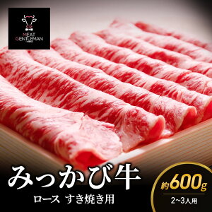 �y�ӂ邳�Ɣ[�Łz�݂����ы����[�X�����Ă��p�i��600g/2�`3�l�p�j���Y �É��� ���� �����Ă� ���[�X �O������ ���� ���� �É� �l���s