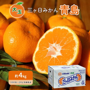 yӂ邳Ɣ[Łzs\ ݂  4kg O݂ ʕ  t[c {̉ʕ {̃t[c ݂  ~J O  k k É É ls@͂F202