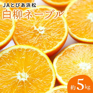 �y�ӂ邳�Ɣ[�ŁzJA�Ƃ҂��l�� �����l�[�u�� ��5kg ���1�������400g×12�`18�� �y�z���s�F�����z �l�[�u�� �l�� �݂��� �~�J�� ���� ���Ε� �M�t�g �É� �l���s�@���͂��F2025�N12��15���`