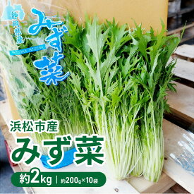 【ふるさと納税】浜松市産 みず菜 約2kg（約200g×10袋）水菜 サラダ 野菜 キョウナ 京菜 ヒイラギナ 柊菜 センスジナ 千筋菜 静岡 浜松市【配送不可：離島】