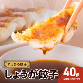 【ふるさと納税】すえひろ餃子 （しょうが餃子） 40個（20個×2パック） タレ・唐辛子付き 餃子 浜松餃子 ギョーザ 冷凍餃子 具沢山 国産 ビールのお供 つまみ 静岡 浜松市
