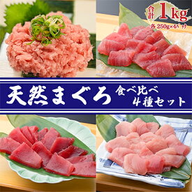 【ふるさと納税】天然まぐろ食べ比べ4種セット 合計1kg（バチマグロ切落し・びん長マグロ・ミナミマグロ・ネギトロ 250g×各1袋）【配送不可：離島】　【 魚貝類 海の幸 海鮮 お酒のあて 厳選まぐろ もちもち 】