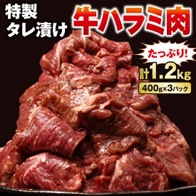 【ふるさと納税】 牛肉 牛ハラミ タレ漬け たっぷり 1.2kg 400g 3パック 焼肉 味付け バーベキュー BBQ 冷凍 1kg 以上