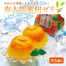 【ふるさと納税】 ゼリー みかん 110g 6個 蜜柑 寿太郎 スイーツ フルーツ お菓子 ギフト 贈答 母の日 敬老の日 母の日