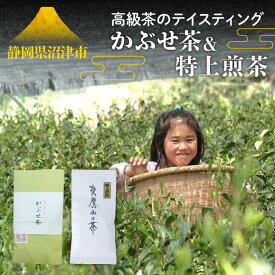 【ふるさと納税】 高級茶 テイスティング 日本茶 緑茶 煎茶 かぶせ茶 特上煎茶 飲み比べ 静岡茶 お茶 健康 リラックス 贈り物 贈答用 プレゼント ギフト 高品質 飲料 名産品 特産品 地域産品 沼津市 静岡県