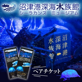 【ふるさと納税】 沼津港深海水族館 ペア チケット 大人2名 水族館 沼津港 シーラカンス ミュージアム 体験 プレゼント 贈答 ギフト 観光 旅行 静岡県 沼津市