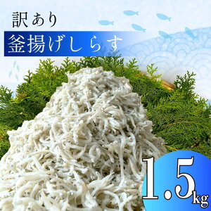 yӂ邳Ɣ[Łz 󂠂 g炷 Iׂ e 500g 1kg 1.5kg Ⓚ  pbN VX CN ܂  VN  ȒP   炷 Îs É