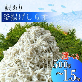 【ふるさと納税】 訳あり 釜揚げしらす 選べる 容量 500g 1kg 1.5kg 冷凍 小分け パック シラス 海鮮 おつまみ おかず 新鮮 美味しい 簡単調理 料理 丼 しらす丼 沼津市 静岡県