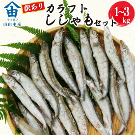 【ふるさと納税】 訳あり ししゃも 1~3kg カラフト 丸干し 干物 ひもの セット 冷凍 沼津 静岡 選べる 魚 海鮮 シシャモ 柳葉魚 魚介 惣菜 子持ち グルメ 食べ物 人気 ランキング 冷凍