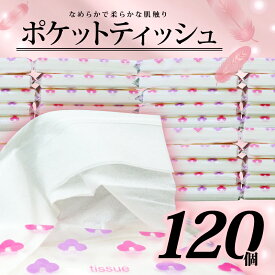 【ふるさと納税】 ポケットティッシュ 14W 120個入 日用品 雑貨 消耗品 防災 備蓄 箱なし やわらかい ランキング 人気 ティッシュペーパー 使い捨て 衛生用品 ポケット ティッシュ セット 個包装 アウトドア 旅行 便利 沼津市 静岡県