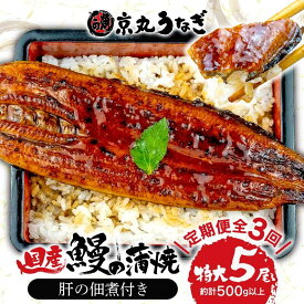 【ふるさと納税】 3カ月定期 国産 うなぎ 蒲焼 5尾 約 500g 鰻 冷凍 肝 佃煮 ギフトボックス セット 老舗 うなぎ専門店 定期便 土用 丑の日 うな重 鰻重 蒲焼き うなぎ蒲焼 うなぎ蒲焼き 国内産 国内産うなぎ 国産うなぎ 沼津市 静岡県