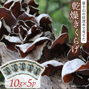 yӂ邳Ɣ[Łz  炰 10g×5pbN v50g LNQ ؎ ̂ ؗ h{ H@ NHi r^~D JVE S J[ _CGbg e Vs ȒP X[v u