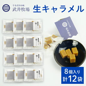 【ふるさと納税】 生キャラメル 8個入り × 12袋 うちだけの味 武井牧場 キャラメル お土産 プレゼント ギフト 贈答 お取り寄せ スイーツ お菓子 デザート 静岡県 沼津市