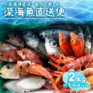 yӂ邳Ɣ[Łz [C  2kg 2-3lO Zbg ˓c  YHi N hg Hה  {̋  [C̋ n  O fBi[ ܂ 蕨 Mtg v