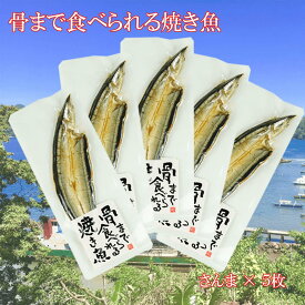 【ふるさと納税】 焼き魚 焼魚 骨まで食べられる さんま 5袋 国産 干物 保存食