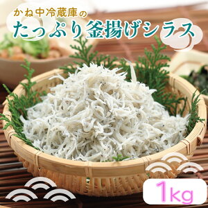 yӂ邳Ɣ[Łz 炷 Ղ gVX 1kg 炷 VX Y  VX VN  ܂ H  CN  N YHi O Hi Îs É