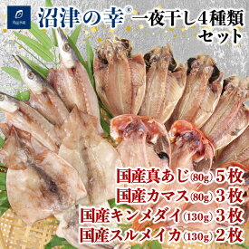 【ふるさと納税】 干物 魚 一夜干し 沼津の幸 真あじ 金目鯛 かます イカ 4種類 セット 真鯵 キンメダイ (G)