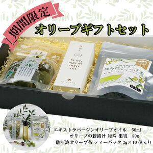 【ふるさと納税】オリーブギフトセット(期間限定2021年12月〜2020年4月)オリーブオイルお茶塩漬けギフトセット沼津