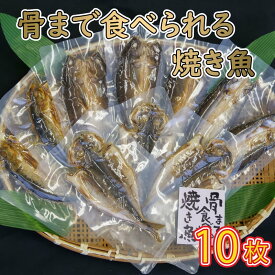 【ふるさと納税】 レンジ で 簡単 骨まで まるごと 食べられる 焼き魚 10枚 セット