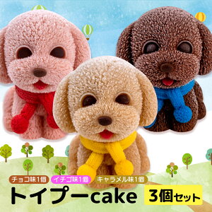 yӂ邳Ɣ[Łz P[L gCv[h cake 3 Zbg XC[c ̃P[L `R  L 킢 p LN^[   a NX}X ybg  v[h M