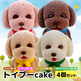 【ふるさと納税】 ケーキ トイプードル Cake 4個 セット スイーツ 立体ケーキ チョコ いちご キャラメル ホワイトチョコ かわいい 贈答用 母の日