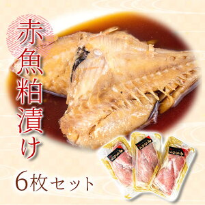 yӂ邳Ɣ[Łz ԋ Ђ 6 Y n B@ gp ^pbN ①  Ђ ԋHi  ` aH  ̍ ͂̂Ƃ 蕨 Mtg ۑH ȒP 