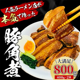 【ふるさと納税】 豚 角煮 800g 400g x 2パック 小分け セット 豚肉 ブロック 豚バラ 豚の角煮 ラーメン 煮豚 冷凍 とろとろ 柔らかい 簡単調理 おかず おつまみ 丼 豚肉料理 角煮丼 豚バラ肉 沼津市 静岡県