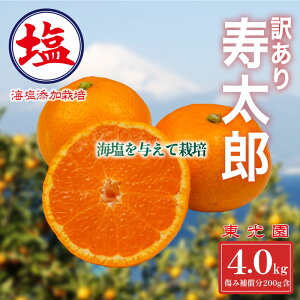 yӂ邳Ɣ[Łz Y݂ 󂠂 \ 1{ v 3kg ~ 5kg  k IW ʕ t[c C͔| r^~C Y W[V[ Â ~ p Mtg Ƒ  fU[g Yn