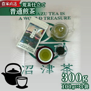 yӂ邳Ɣ[Łz ʐ 100g 3 v300g   2025NY _ƒ  t É 