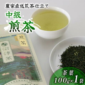 【ふるさと納税】 沼津産 中級煎茶 茶葉 100g 1袋 農家直送 産地直送 お茶 茶 緑茶 煎茶 日本茶 飲料 家庭用 ご自宅用 おためし 静岡 沼津