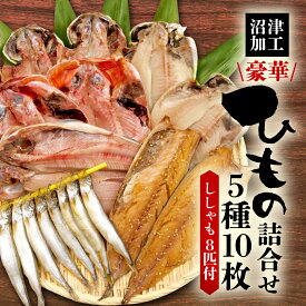 【ふるさと納税】 沼津 干物 ひもの 5種 10枚 詰め合わせ セット ししゃも 付き贈答用 冷凍 鯵 アジ 鯖 サバ 極上 金目鯛 キンメダイ エボダイ ホッケ ほっけ 沼津 静岡 コスパ ランキング 人気 美味しい