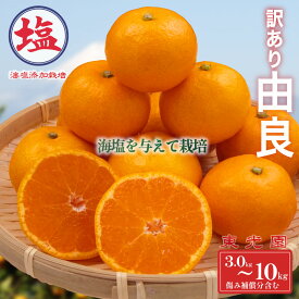 【ふるさと納税】 由良 みかん 海塩 を与えて栽培 予約受付 10月上旬順次発送 訳あり みかん 由良 選べる 容量 計 3kg ~ 10kg 傷み補償分 200g ~ 400g 含む 蜜柑 柑橘 オレンジ 果物 フルーツ 沼津市 静岡県