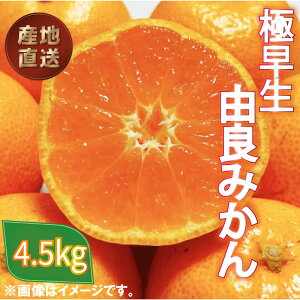 yӂ邳Ɣ[Łz ɑ R ݂  4.5kg Yn k 󂠂 t[c ʕ  IW ƒp ~J Q { p W[X  ނȒP r^~C h{ Â _ G