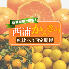 【ふるさと納税】 【 柑橘 定期便 】 訳あり 味比べ 3回 定期便 由良 みかん 2.5kg 寿太郎 みかん 2.5kg 黄金柑 2.5kg 沼津 西浦 みかん 柑橘 オレンジ 静岡