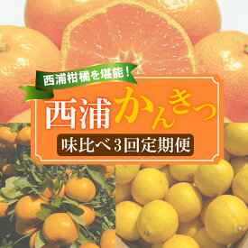 【ふるさと納税】 【 柑橘 定期便 】 訳あり 味比べ 3回 定期便 由良 みかん 2.5kg 寿太郎 みかん 2.5kg レモネード 2kg 沼津 西浦 みかん 柑橘 オレンジ 静岡