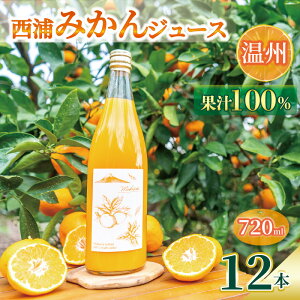yӂ邳Ɣ[Łz ʏ`100 ݂ W[X 720ml 2~12{ Y IW ݕ Y ʕ k Xg[g r^~C 蕨 Mtg i N e H  VR ʎ 肽 t[c