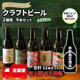 【ふるさと納税】 定期便 年 2回 クラフト ビール 330ml 6本 セット 2種 地ビール お酒 ギフト 贈答品 ご当地 瓶ビール 飲み比べ 国産 プレゼント バーベキュー BBQ 特産品 人気 おすすめ 詰め合わせ 季節限定 沼津市 静岡県