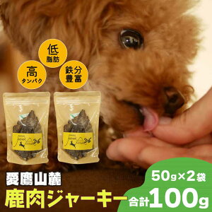 yӂ邳Ɣ[Łz R[  W[L[ 50g 2 ybgt[h hbOt[h p  퉷ۑ Y hC~[g  ^pNᎉb wV[ r^~BQ S ~lL