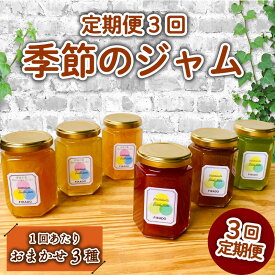 【ふるさと納税】 定期便 3回 季節 ジャム 160g×3本 マーマレード 詰め合わせ 無添加 旬 9種 セット ヨーグルト パン 贈答用 プレゼント フルーツ スプレッド 手作り 国産 果物 ジャムセット 朝ごはん 贈り物 おいしい 沼津市 静岡県