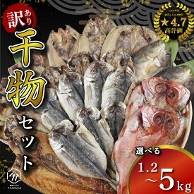 【ふるさと納税】 訳あり 干物 詰め合わせ 1.2kg 4kg 5kg 量が選べる セット 沼津からお届け アジ ホッケ サバ カマス 金目鯛 冷凍 ひもの ふるさと納税 干物 ふるさと 納税 ふるさと納税干物 ふるさと納税ひもの きんめ 鯵 鯖 静岡 沼津 ほっけ 規格外 不揃い 塩鯖 塩さば