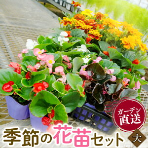 yӂ邳Ɣ[Łz G ԕc Zbg K[fjO 񂹐A  蕨 t[ Mtg 뉀 v^[ V[Y  x K[f | Ԓd A A ԑ ϗtA x_ 