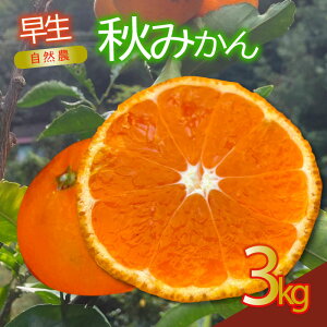 yӂ邳Ɣ[Łz  H݂ 󂠂 3kg R_@ k Y t[c { ݂  I[KjbN _ _ƒ Yn YY Â VN W[V[ r^~C N e  