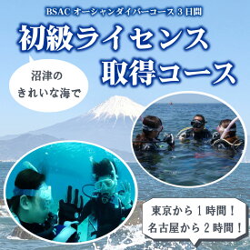 【ふるさと納税】 ダイビング ライセンス オーシャンダイバー 初級 取得 コース チケット フルレンタル cカード 伊豆半島 アクティビティ マリンスポーツ スキューバ 海 体験 観光 旅行 水中 魚 サンゴ 海底 沼津市 静岡県